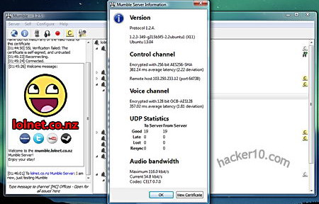 Mumble server encryption details